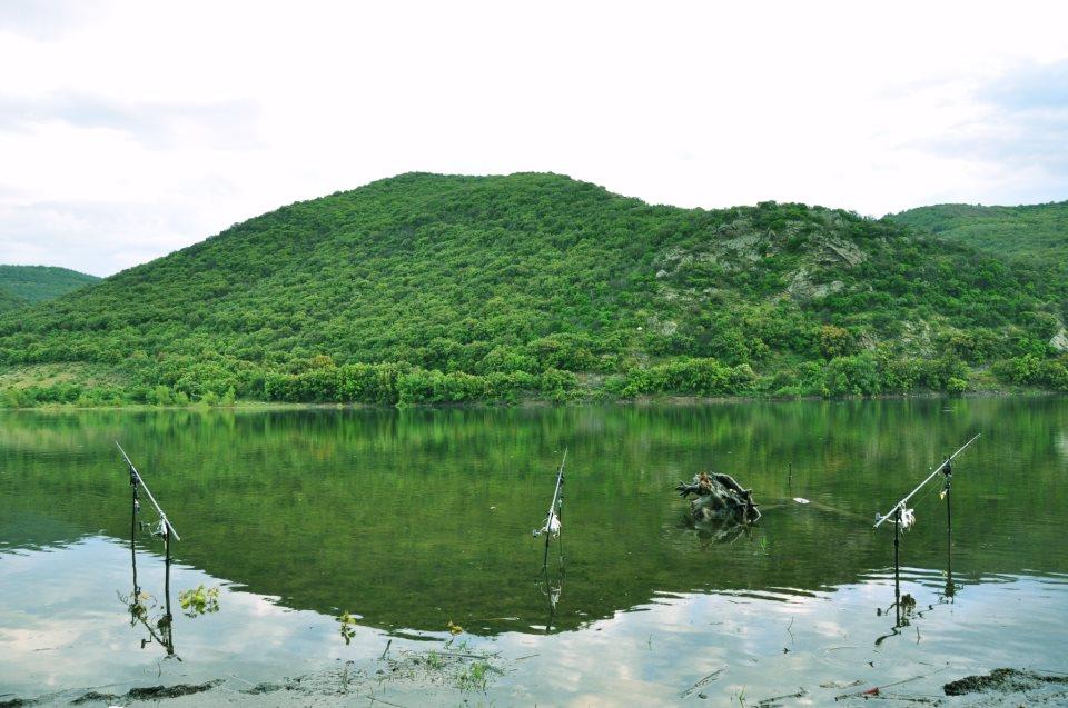 carpbook - 5424254554008893250656621492n.jpg